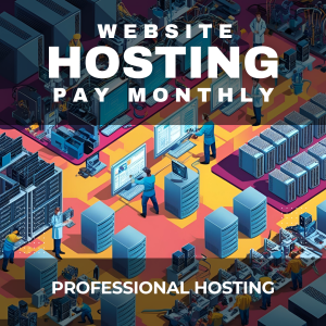 Professional Website Hosting