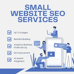 Small Website SEO Services
