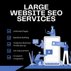 Large website SEO service graphic