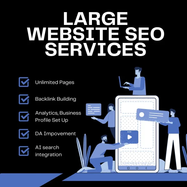 Large website SEO service graphic