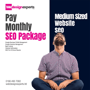 Medium sized website SEO