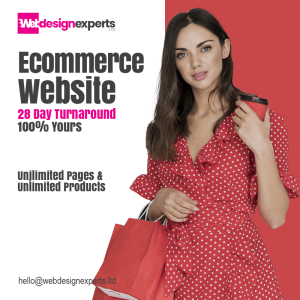 Ecommerce web design package