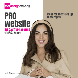 Pro Website Package